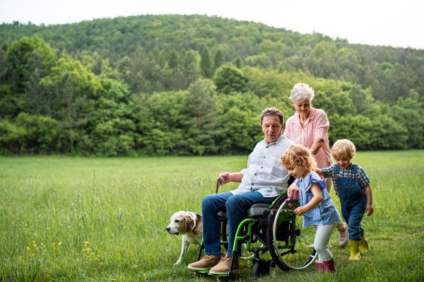 Small children with senior grandparents in wheelchair and dog on a walk on meadow in nature.