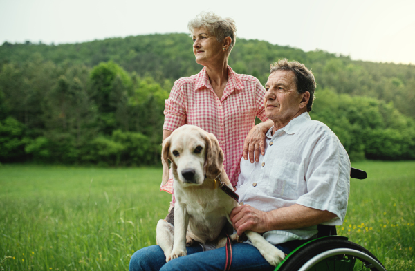 Portrait of senior couple with dog on a walk on meadow in nature, resting.