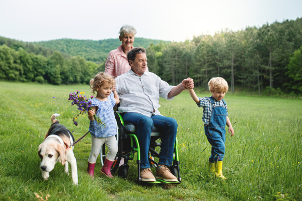 Small children with senior grandparents in wheelchair and dog on a walk on meadow in nature.