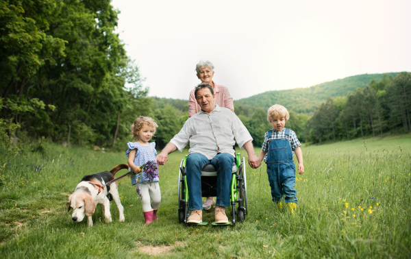 Small children with senior grandparents in wheelchair and dog on a walk on meadow in nature.