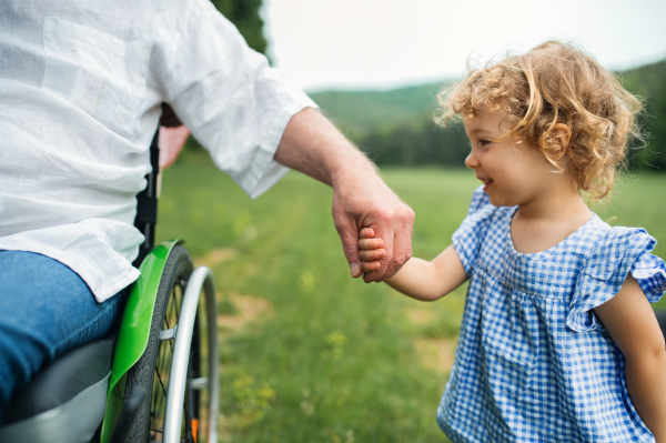 Front view of small girl with unrecognizable senior grandfather in wheelchair on a walk on meadow in nature.