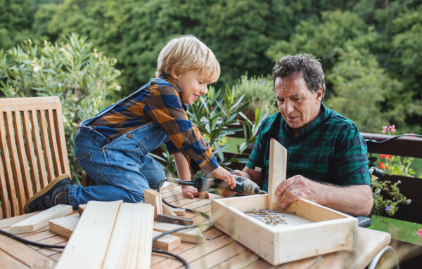 Happy small boy with senior grandfather in wheelchair constructing birdhouse, diy project.