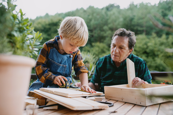 Happy small boy with senior grandfather in wheelchair constructing birdhouse, diy project.