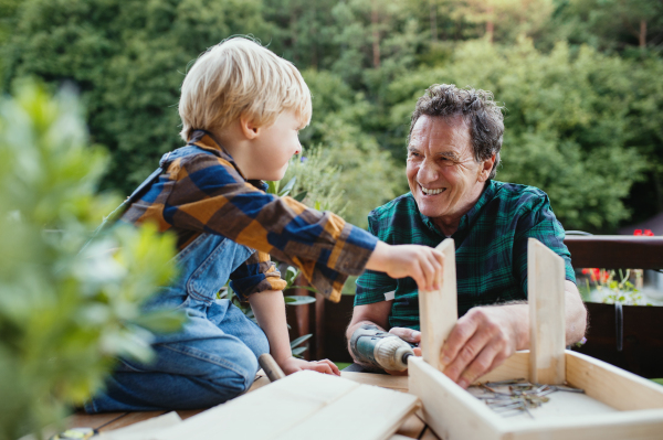 Happy small boy with senior grandfather constructing birdhouse, diy project.