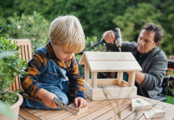 Happy small boy with senior grandfather in wheelchair constructing birdhouse, diy project.