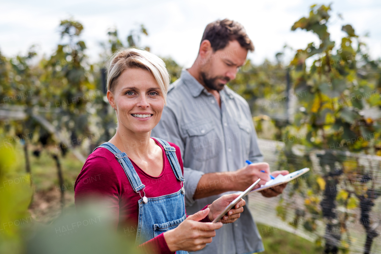 Portrait of man and woman with tablet working in vineyard in autumn, harvest concept.