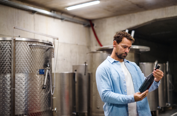 Man worker holding bottle indoors, wine making concept. Copy space.