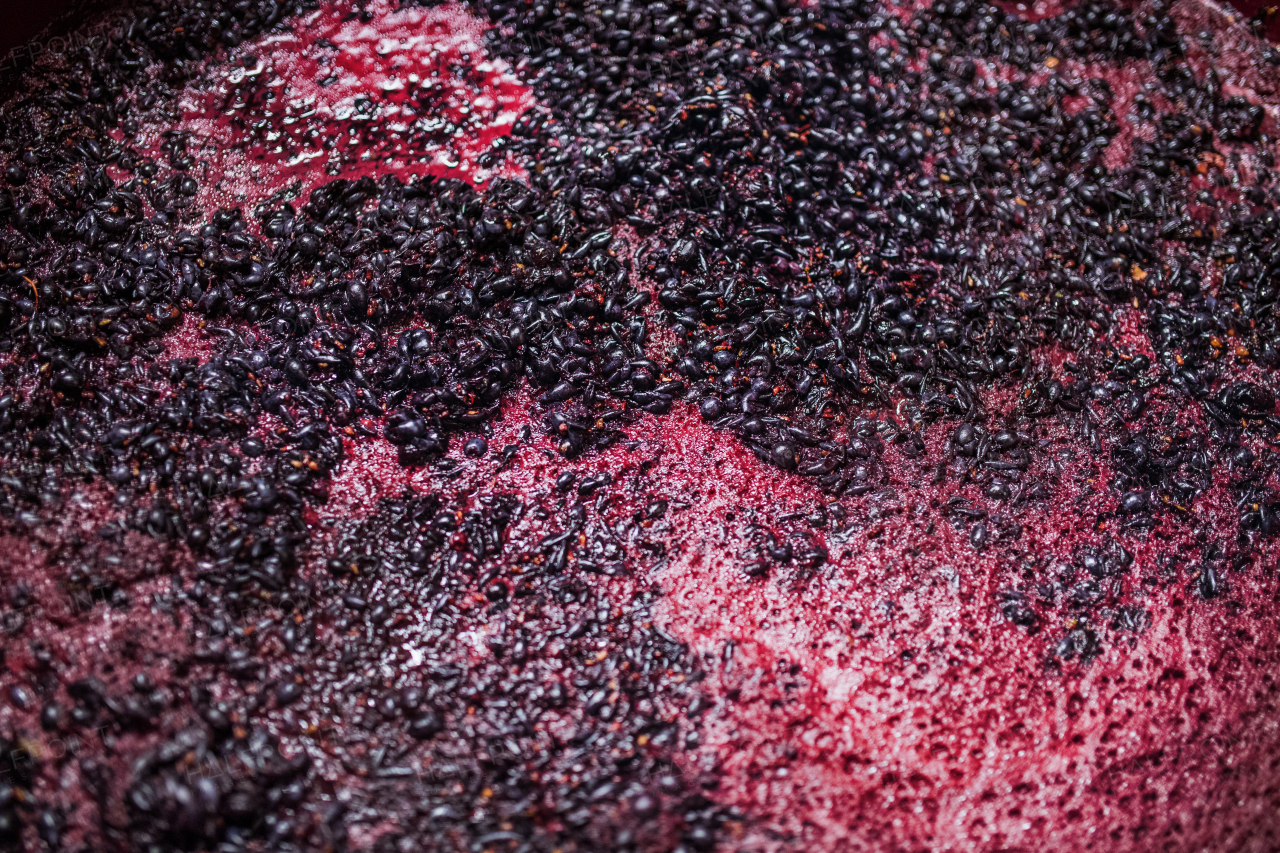 Fermentation of grape must, winemaking concept. A top view.