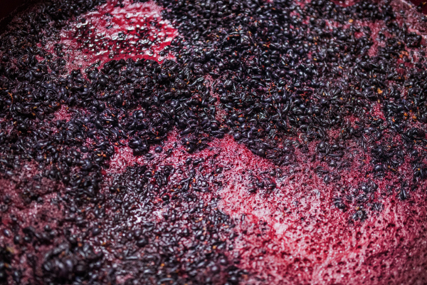 Fermentation of grape must, winemaking concept. A top view.