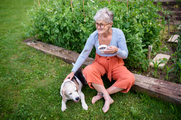 Portrait of senior woman with coffee sitting outdoors in garden, pet dog friendship concept.