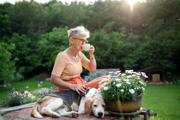 Side view portrait of senior woman with pet dog sitting outdoors in garden, relaxing with coffee.