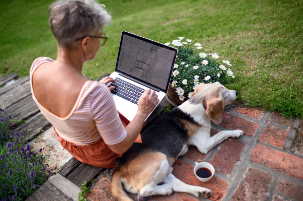 A rear view of senior woman architect with laptop working outdoors in garden, home office concept.