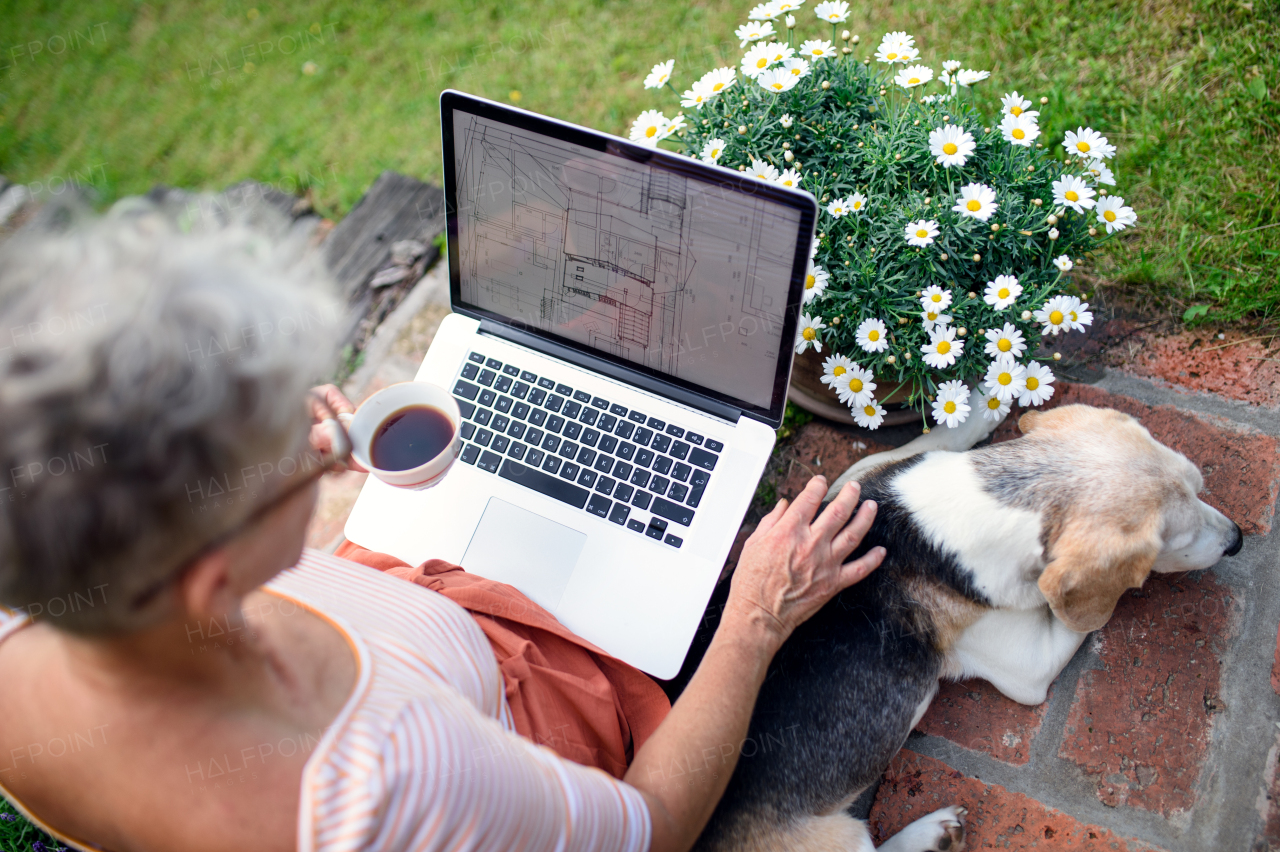 Top view of senior woman architect with laptop and dog working outdoors in garden, home office concept.