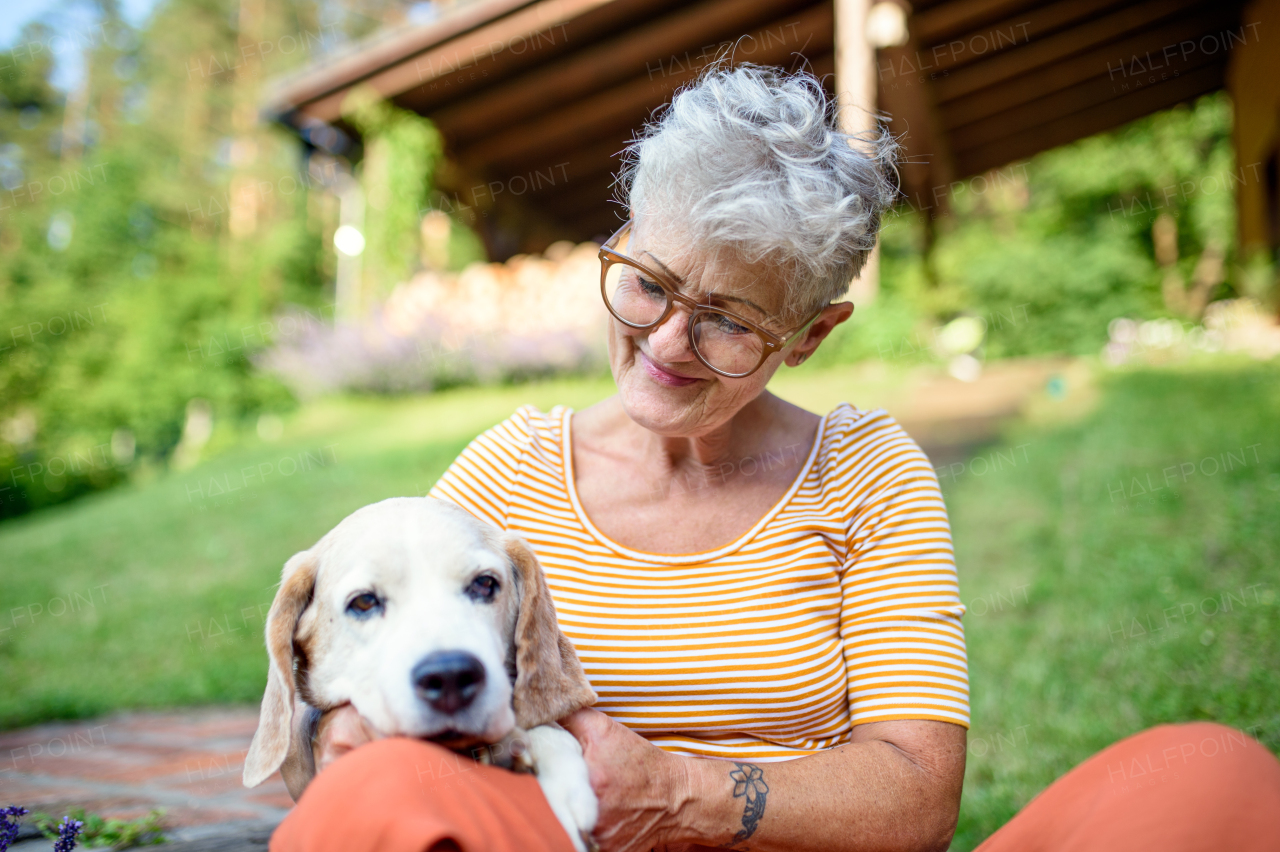 Portrait of senior woman sitting outdoors in garden, pet dog friendship concept.