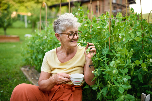 Portrait of contented senior woman sitting outdoors by vegetable garden, holding cup of coffee.