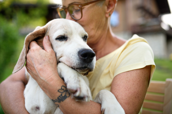 A close-up portrait of senior woman sitting outdoors in garden, pet dog friendship concept.