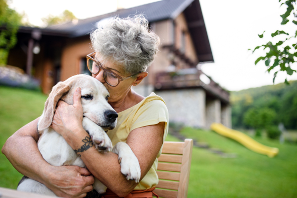 A close-up portrait of senior woman sitting outdoors in garden, pet dog friendship concept.