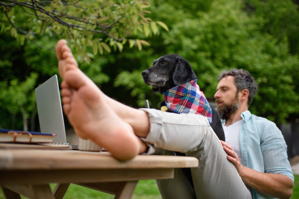 Happy mature man with laptop and dog working outdoors in garden, home office concept.