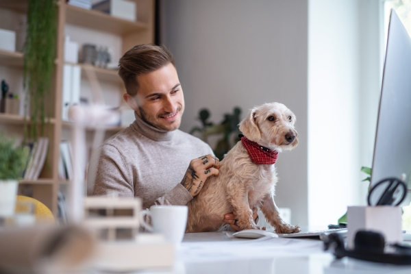 A young businessman with dog sitting at the desk indoors in office, using computer.