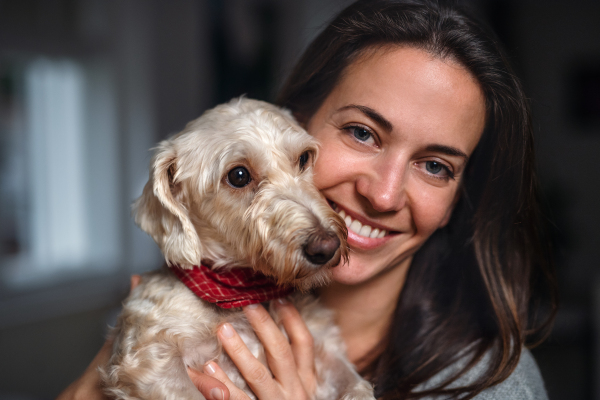 A front view of attractive businesswoman with dog standing indoors in office, resting.