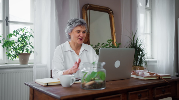 Mature woman having an online meeting in her home office, using laptop, drinking coffee.