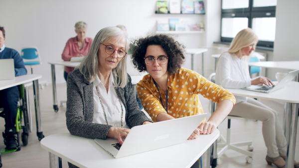 Group of cheerful senior people attending computer and technology education class.