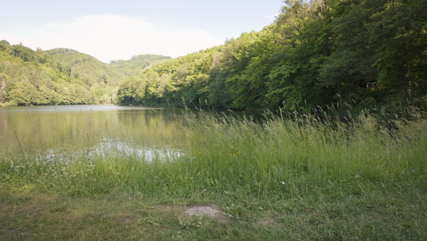 Young disabled man wearing leg prosthetis on both legs havong a walk in nature, ejoying the view at a lake. Rear view.