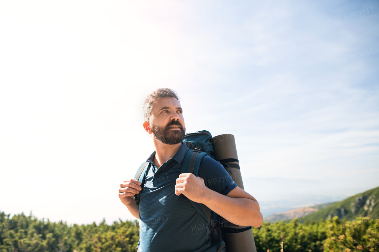 Mature man with backpack hiking in mountains in summer, resting.