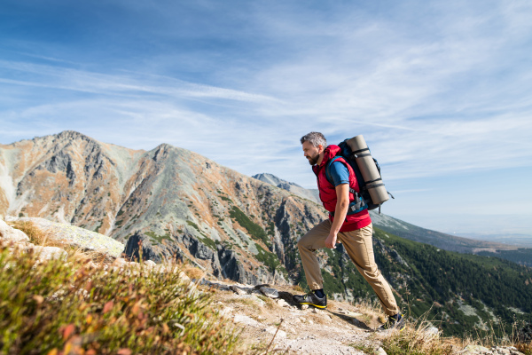 Mature man with backpack hiking in mountains in summer. Copy space.