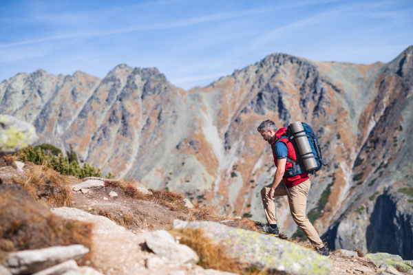 Mature man with backpack hiking in mountains in summer. Copy space.