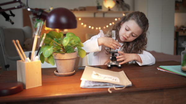 A concentrated little girl setting a microscope to do science project indoors at home, homeschooling.