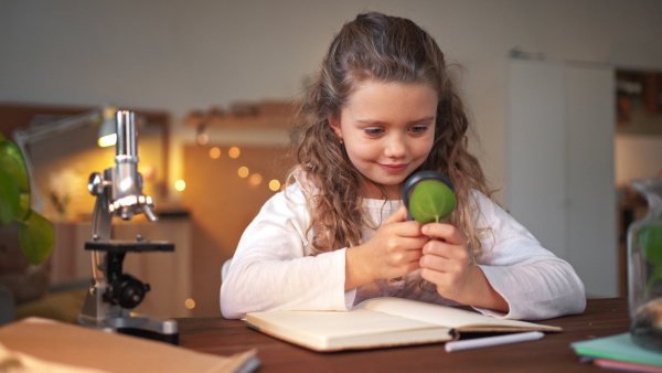 A concentrated little girl making a herbarium, biology project indoors at home, homeschooling.