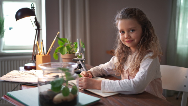 A concentrated little girl looking at camera and making a herbarium, biology project indoors at home, homeschooling.