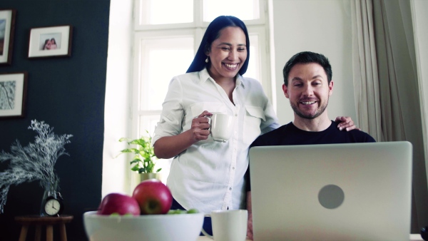 Young happy mixed race couple indoors at home, using laptop.