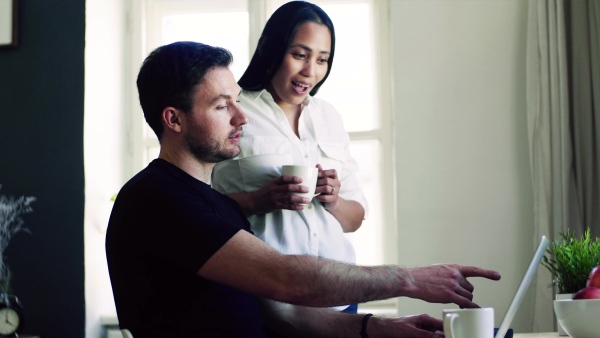 Young happy mixed race couple indoors at home, using laptop.