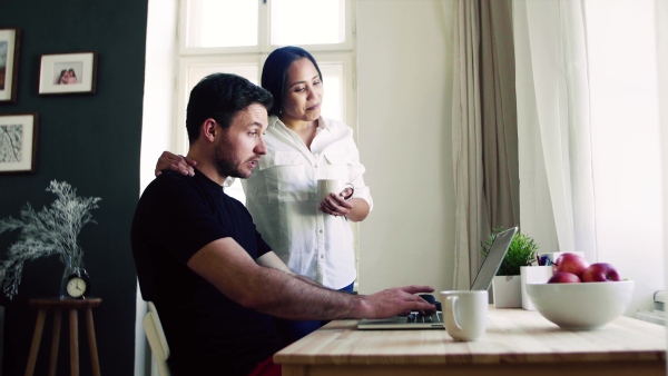 Young happy mixed race couple indoors at home, using laptop.