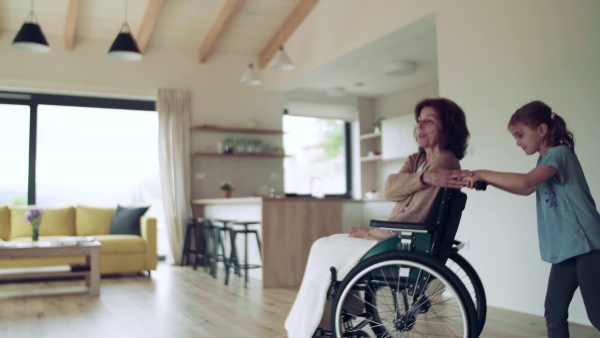 A small girl and her senior grandmother in wheelchair indoors at home.