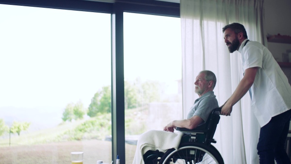 A health visitor and a senior man in wheelchair during home visit, talking.