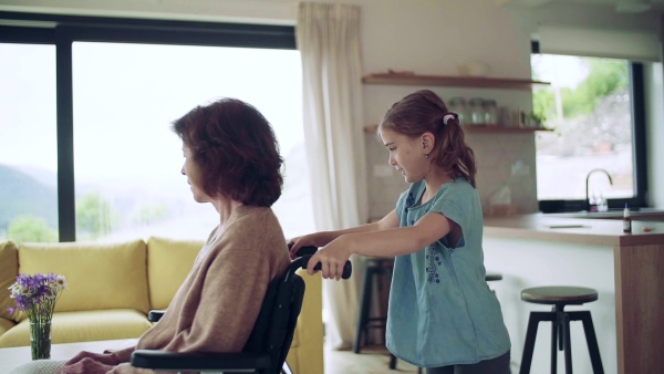 A small girl and her senior grandmother in wheelchair indoors at home. Slow motion.