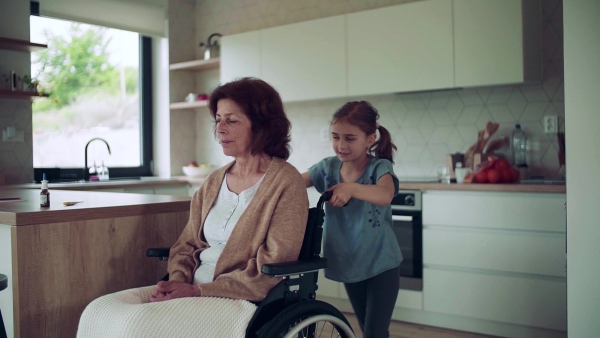 A small girl and her senior grandmother in wheelchair indoors at home. Slow motion.