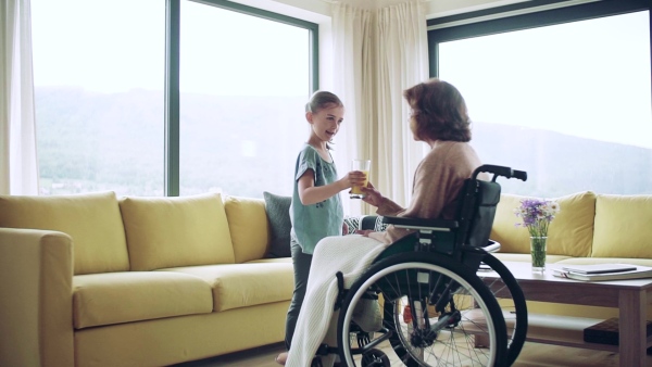 Small girl and her senior grandmother in wheelchair indoors at home, giving juice. Slow motion.