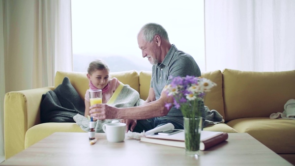 Senior grandfather looking after sick small granddaugther indoors at home, giving her a drink of juice. Slow motion.