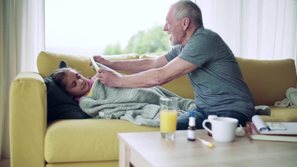 Senior grandfather looking after sick small granddaugther indoors at home. Slow motion.