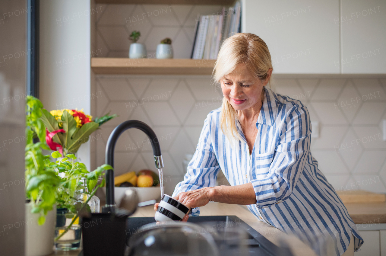 Portrait of happy senior woman washing dishes indoors at home.