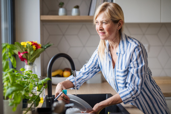 Portrait of happy senior woman washing dishes indoors at home.