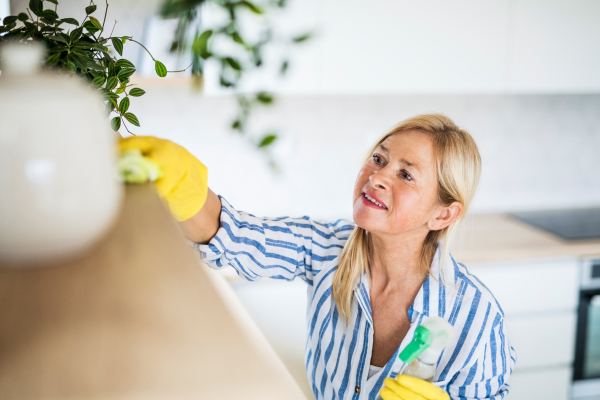 Portrait of happy senior woman cleaning shelves indoors at home.