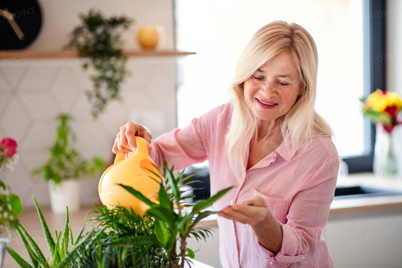 Front view portrait of senior woman watering plants indoors at home.