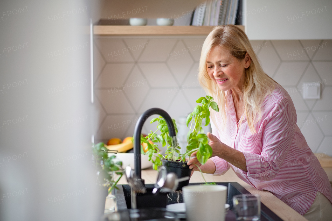 Front view portrait of senior woman watering plants indoors at home.