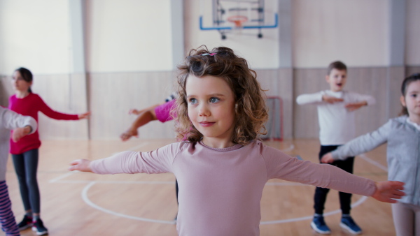 A group of elementary students exercising during class at school gym.