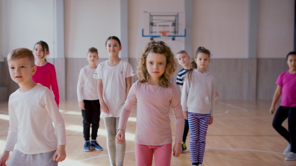 A group of elementary students exercising during class at school gym.